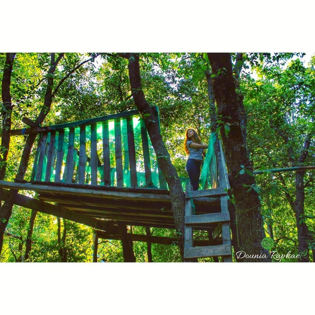 Tree houses are the ultimate return to nature 🍃 - Pete Nelson.Credit to... (Lehfed Country club)