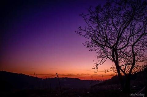  tree  sunset  dusk  sky  colors  landscape  clouds  mountain  valley ... (Lebanon)
