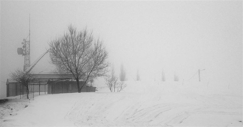  tree  winter  nature  house  snow  snowing  laqlouq  hd_lebanon ... (El Laqloûq, Mont-Liban, Lebanon)