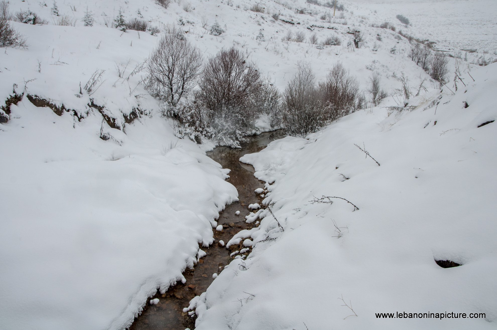 Trees and Faraya River Covered By Snow (Sad Chabrouh, Lebanon)
