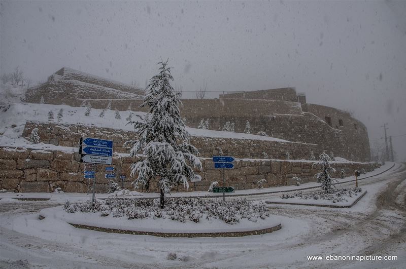 Trees and Roads Covered by Snow (Wata Joz, Lebanon)