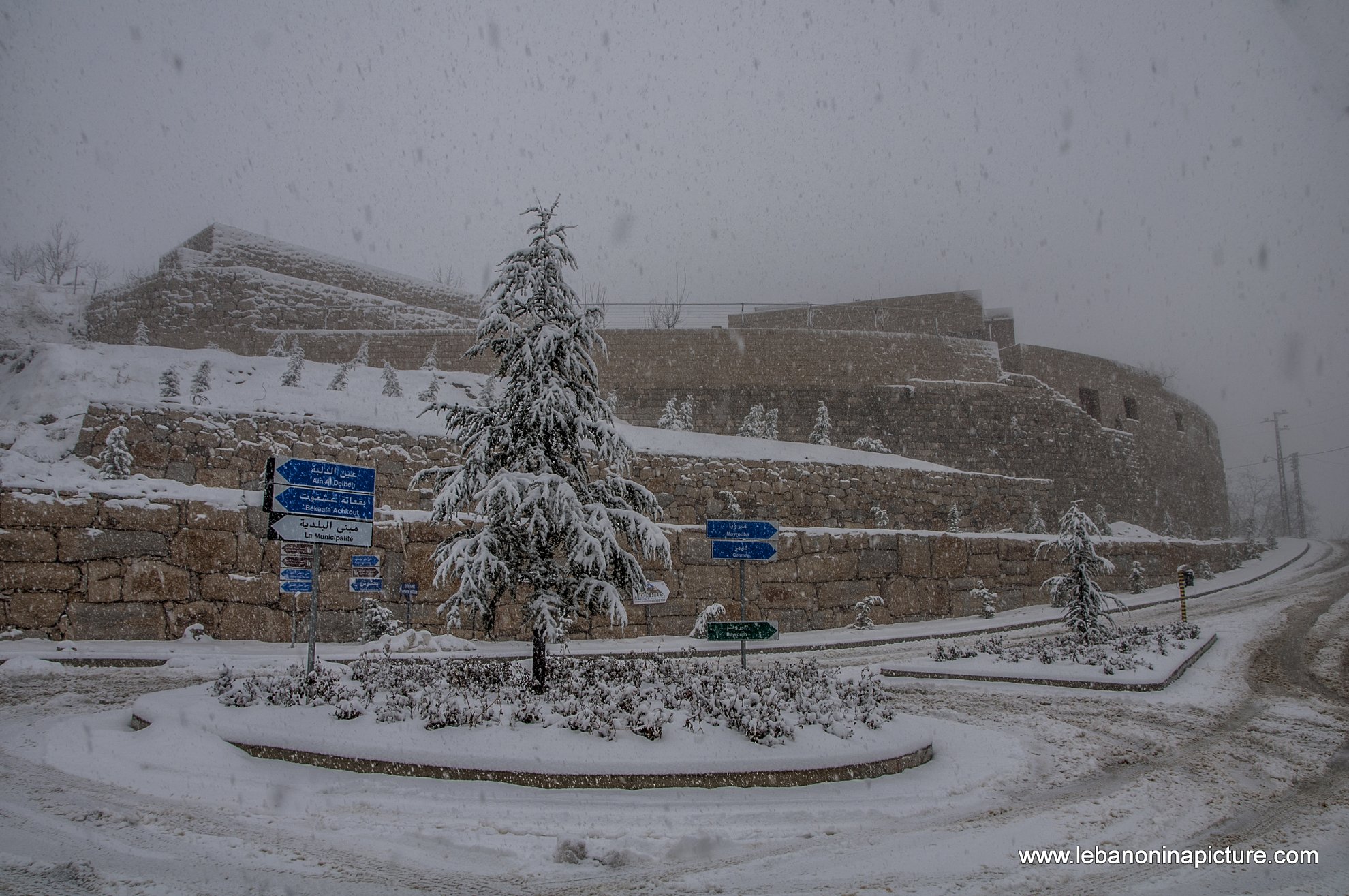 Trees and Roads Covered by Snow (Wata Joz, Lebanon)