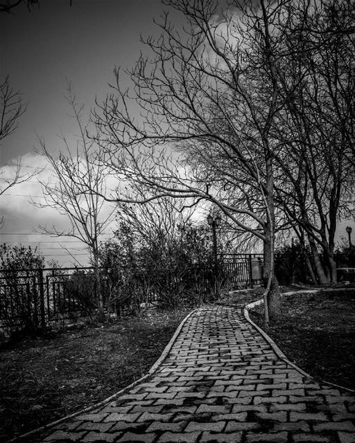  trees  winter  nature  garden  path  sky  clouds  sawfar ... (Sawfar, Mont-Liban, Lebanon)