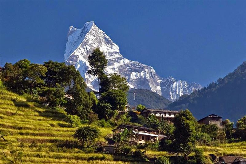 Trek in Nepal