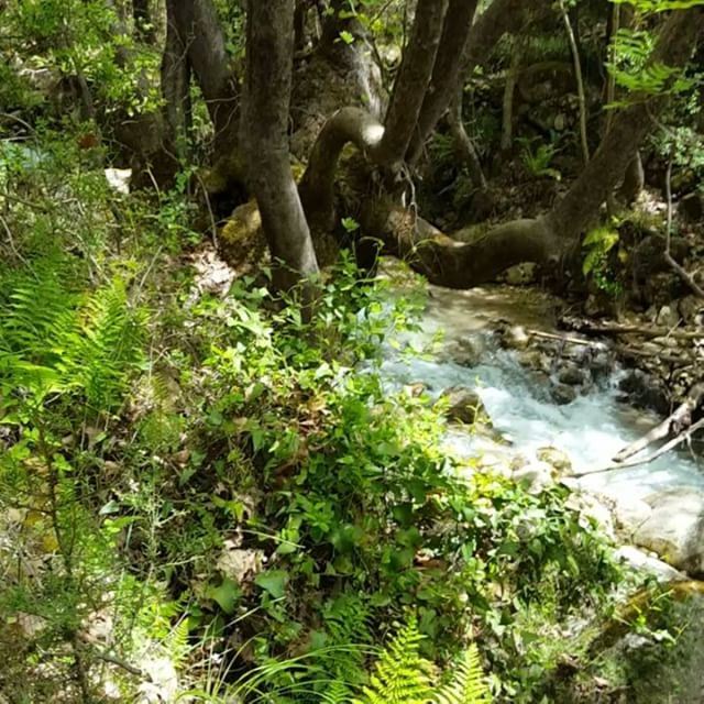 Trekking in Lebanon  naturesbest  lebanon.visions  feeloubnan ... (Miziâra, Liban-Nord, Lebanon)