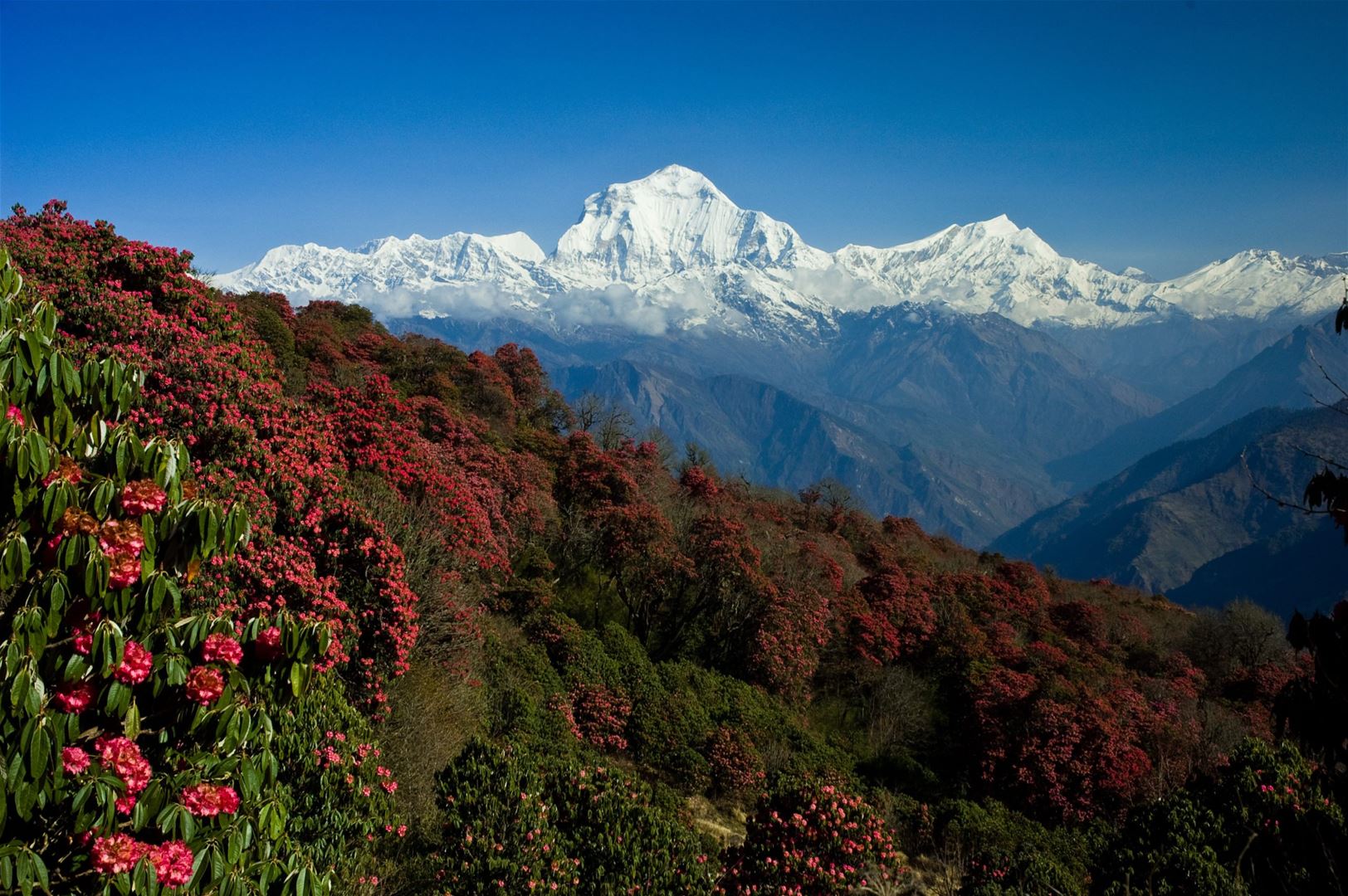 Trekking in Nepal - 9
