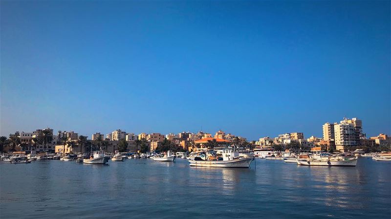 Tripoli, The second capital of Lebanon. port  sea  shore  boat  boats ... (طرابلس)