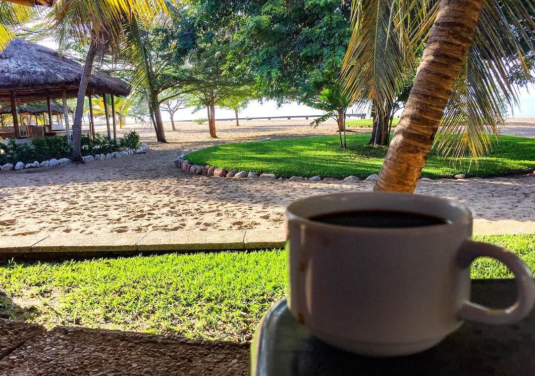 Tropical morning coffee  africa  clubdulactanganyika  travel  african ... (Bujumbura, Burundi)