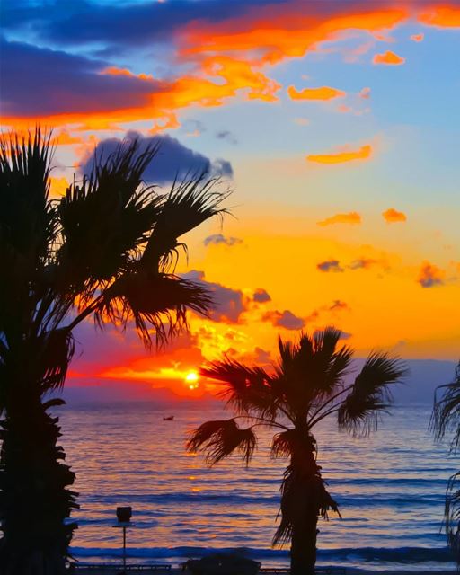 Tropical vibes sunset🌴🌅--------------------------------Good morning/nig