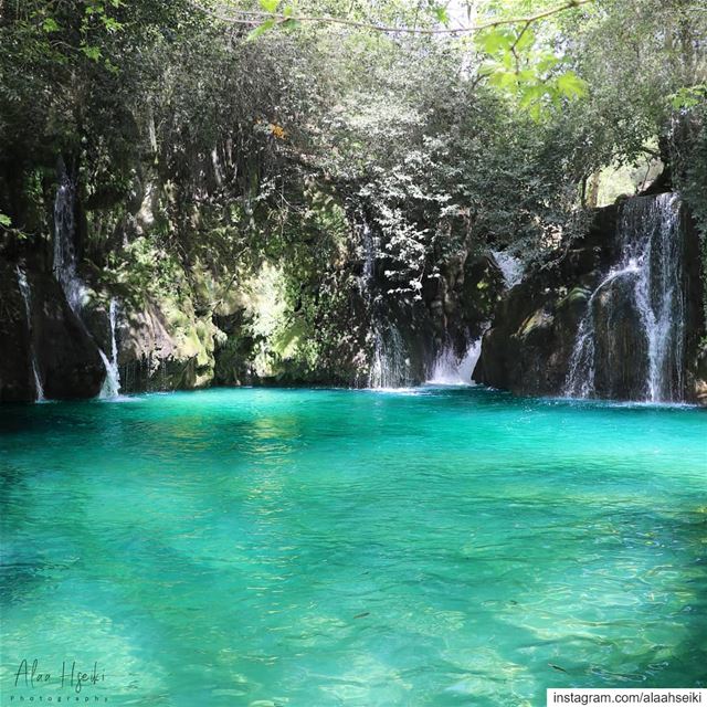 Tropical Vibes 🏝️... Hseiki  Lebanon  beirut  nature  photography ... (شلالات الزرقاء -بعقلين)