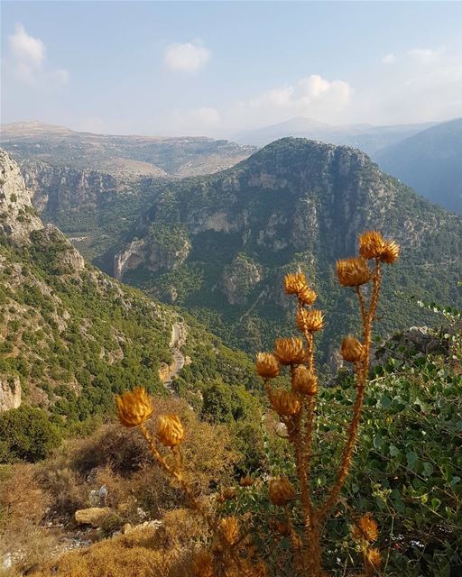 Trust in dreams, for in them is hidden the gate to eternity Gebran Khalil... (Ehden, Lebanon)