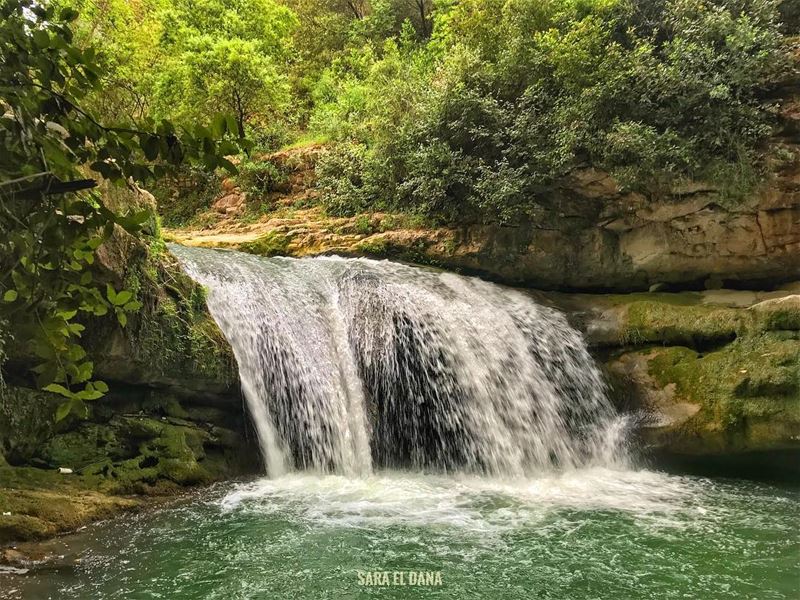 Trust me, I’ll take you places you’ve never been before 🌴 (Chouf)