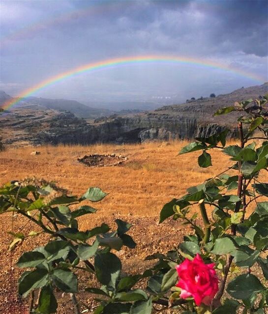Try to be a Rainbow in someone’s cloud - Maya Angelou ... (Faqra Kfardebian)