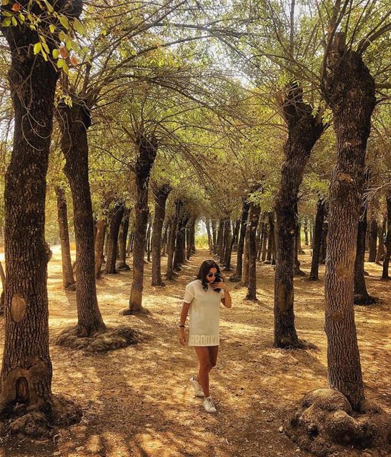 📲Turn ON Post Notifications 🌄Amazing view from  bekaa 📸Photo by @zeina_k (Deïr Taanâyel, Béqaa, Lebanon)