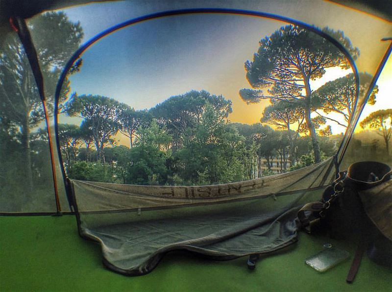📲Turn ON Post Notifications 🌄Amazing view from  swings 📸Photo by @majd_h (Swings)