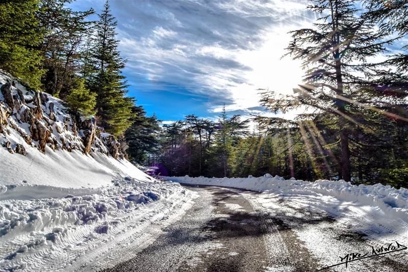 Tye magic of mother nature...  livelovebeirut  livelovechouf ...