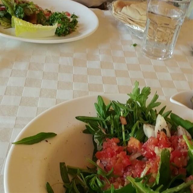 Typical country style salad made of wild zaatar, arugula, tomato and... (Hasbani River)