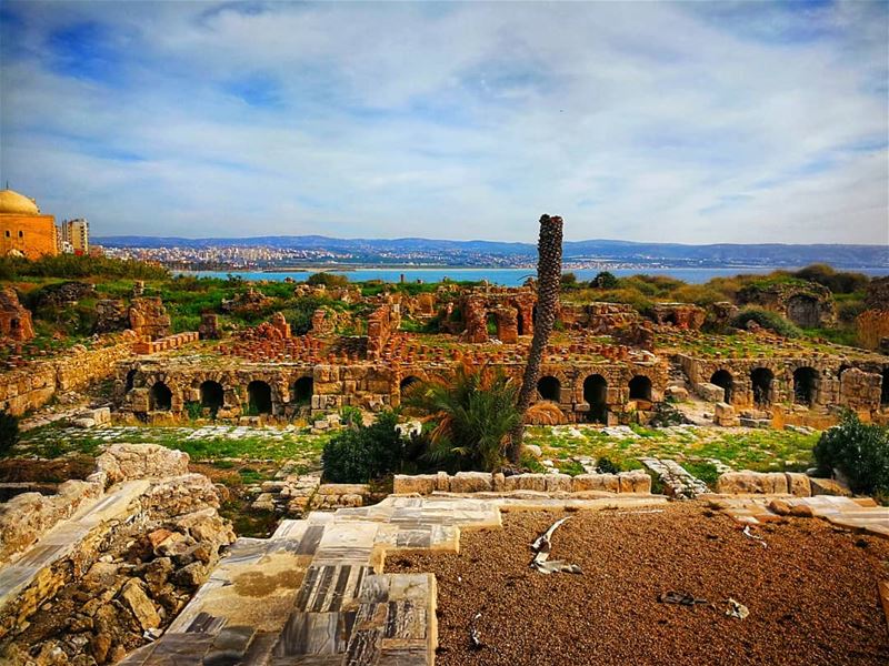 Tyre and Sidon, ancient cities of Phoenicia, are mentioned several times... (Tyre, Lebanon)