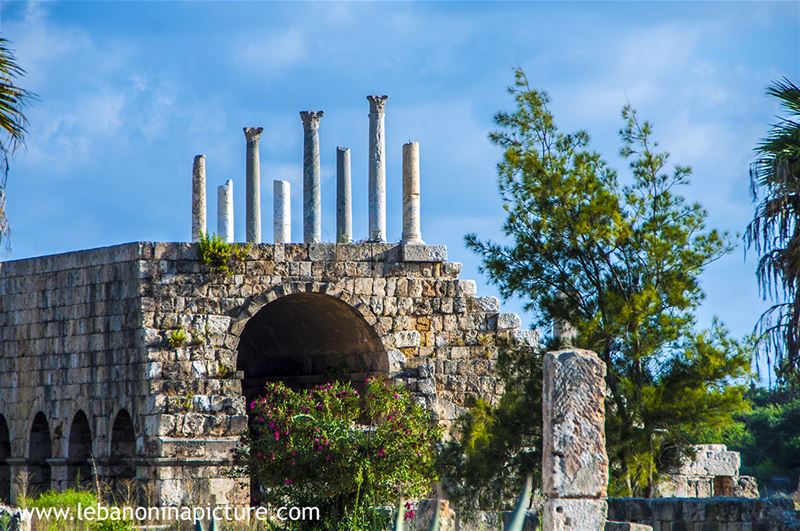 Tyre Archaeological Phoenician and Roman Ruins