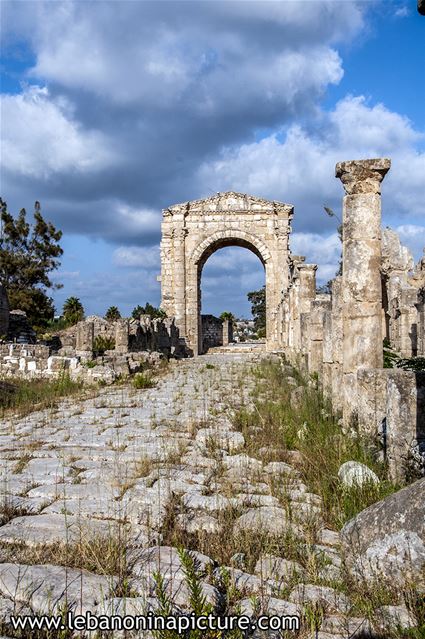 Tyre Archaeological Phoenician and Roman Ruins