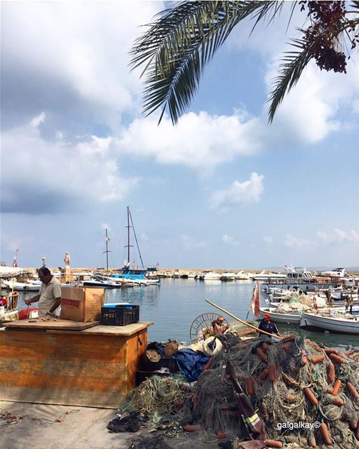 Tyre fishing harbor ..... lifewelltraveled  traveltheglobe ...