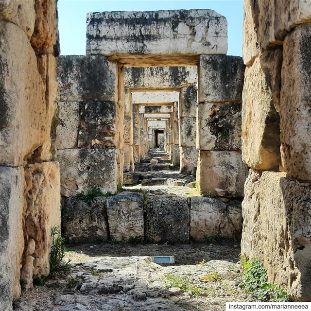 Tyre Hippodrome 🏛Unesco World Heritage... (Tyre Hippodrome)