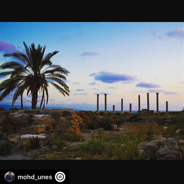 " tyre  lebanon  goodday  like4like  photography  canon  saturday  sour ...