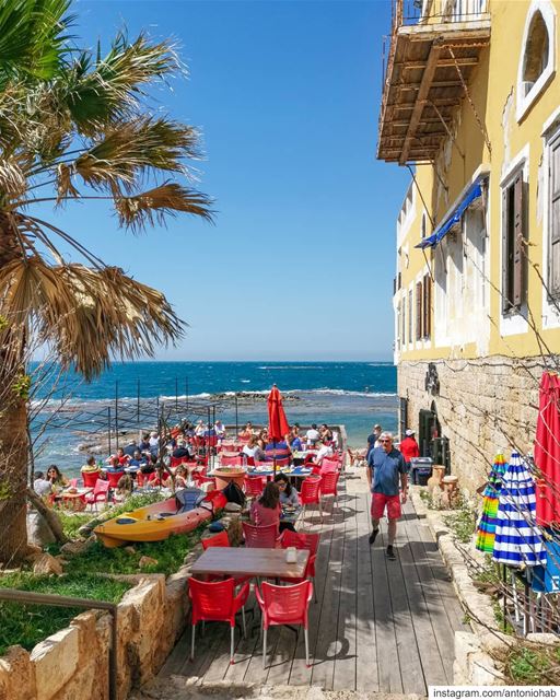 🌞🌊 🌴 (Tyre, Lebanon)