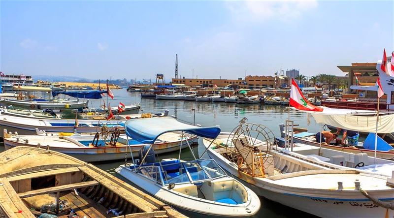  Tyre mornings sunnyday landscape nature sea lebanon southern lebanon_hdr... (Tyre, Lebanon)