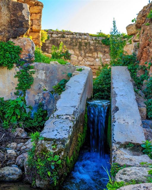  Tyre raselain landscape nature lebanon_hdr lebanonspotlights... (Tyre, Lebanon)