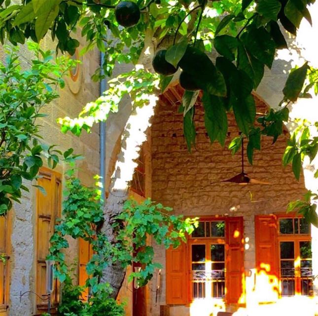 tyre  @saoussan.kaissi oldhouses heritagelibanais oldheritage nature... (Tyre, Lebanon)