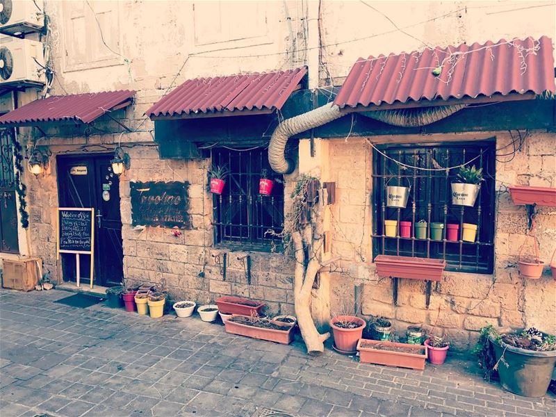  tyre  sour  lebanon  lebanon_hdr  lebanonshots  lebanonbyalocal ... (Tyre, Lebanon)