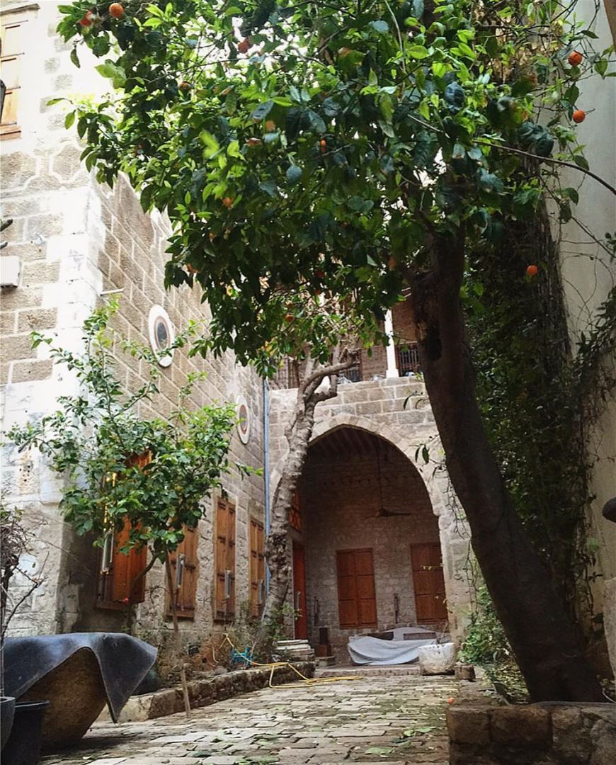  tyre sour old lebanese house lebanon insta_lebanon lebanonhouses... (Tyre, Lebanon)