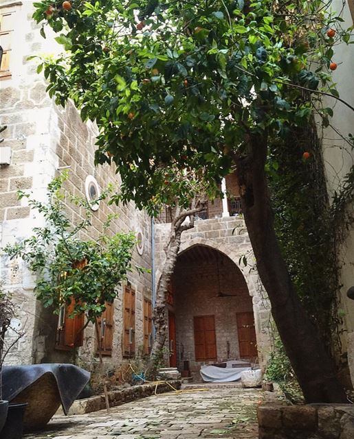  tyre sour old lebanese house lebanon insta_lebanon lebanonhouses... (Tyre, Lebanon)