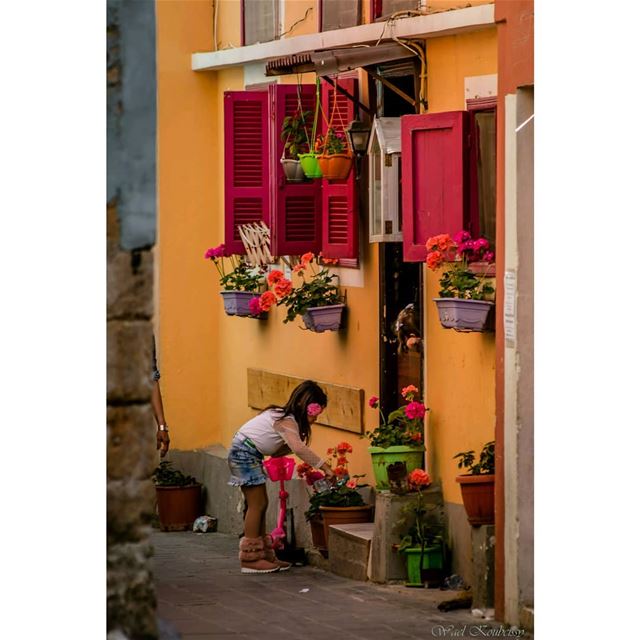  tyre  street  alley  lebanon  old  house  ig_lebanon  lebanon_hdr  ... (Tyre, Lebanon)