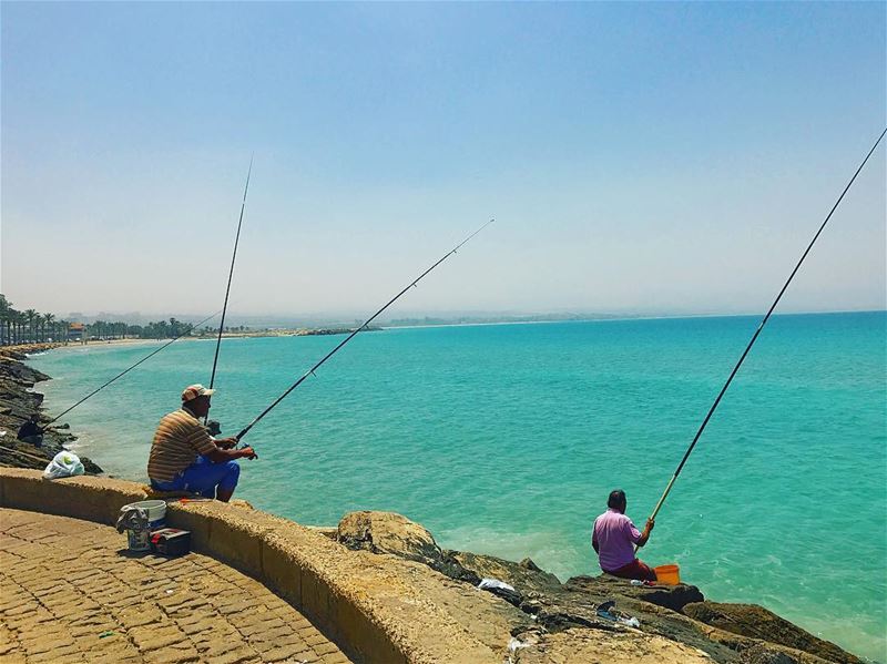  tyre  tyr  sour  tyrecity  sourcity  tyrepage   southlebanon  beach ... (Tyre, Lebanon)