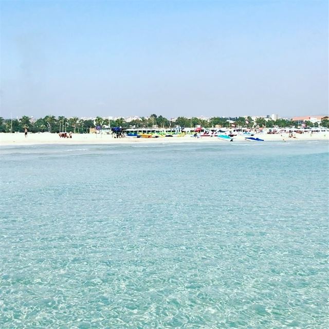  tyre  tyr  sour  tyrecity  sourcity  tyrepage   southlebanon  beach ... (Tyre-Sour At Beach)