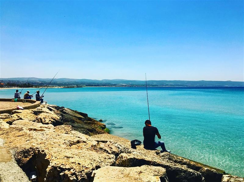  tyre  tyr  sour  tyrecity  sourcity  tyrepage   southlebanon  beach ... (Tyre-Sour At Beach)