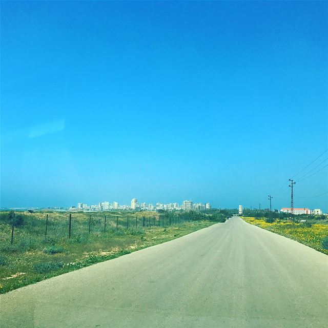  tyre  tyr  sour  tyrecity  sourcity  tyrepage   southlebanon  beach ... (Tyre Coast Nature Reserve - محمية شاطئ صور الطبيعية)