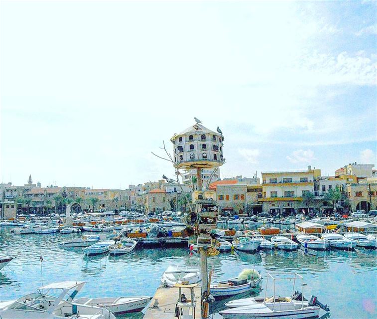  tyre  tyr  tyrecity  sourcity  tyrepage   southlebanon  beach ... (Tyre Fishermen Port.)