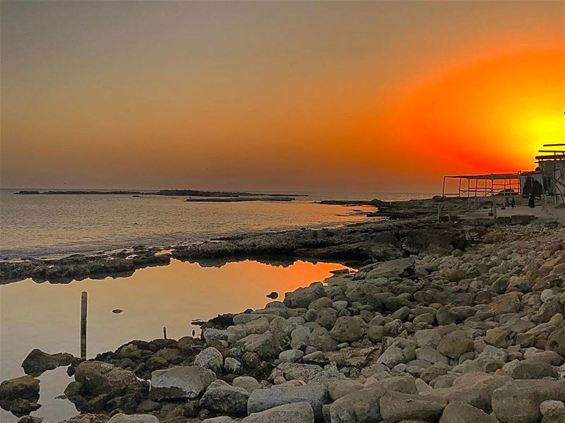  tyre  tyr  tyrecity  sourcity  tyrepage   southlebanon  beach ... (Al Jamal Tyr)