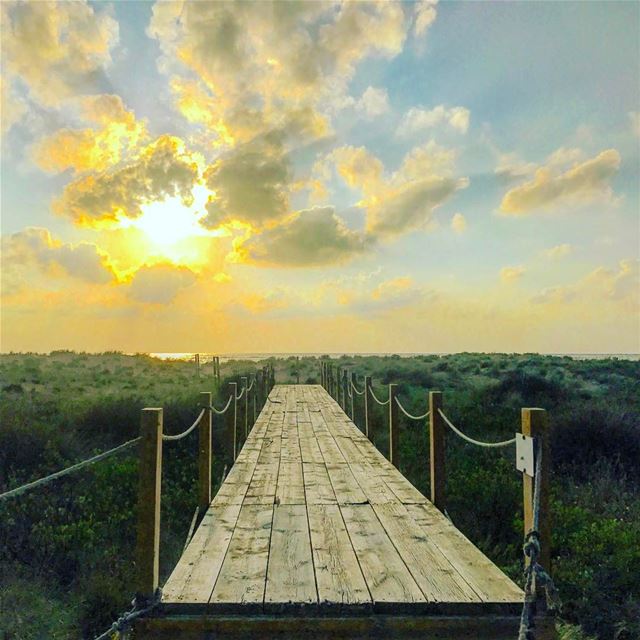  tyre  tyr  tyrecity  sourcity  tyrepage   southlebanon  beach ... (Tyre Coast Nature Reserve - محمية شاطئ صور الطبيعية)