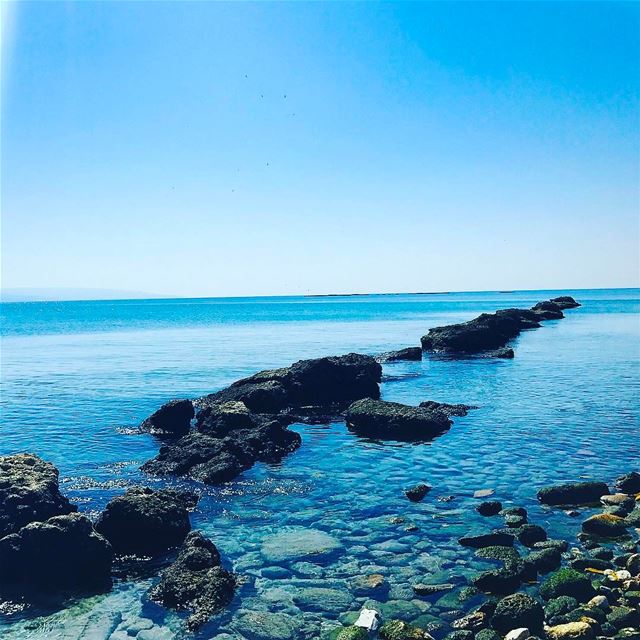  tyre  tyr  tyrecity  sourcity  tyrepage   southlebanon  beach ... (Al Jamal Tyr)