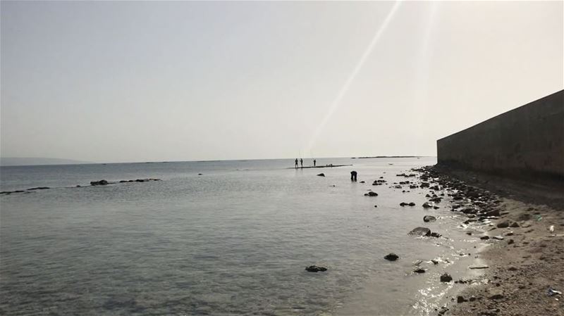  tyre  tyr  tyrecity  sourcity  tyrepage   southlebanon  beach ... (Al Jamal Tyr)
