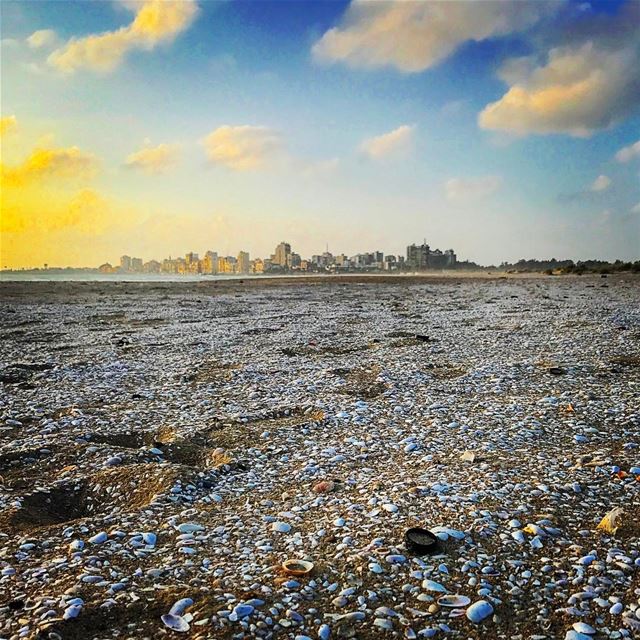  tyre  tyr  tyrecity  sourcity  tyrepage   southlebanon  beach ... (Sour Beach)