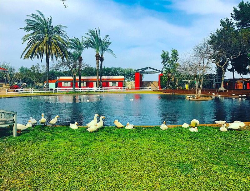  tyre  tyr  tyrecity  sourcity  tyrepage   southlebanon  livelovetyre ... (Al Yasmine Guest House)