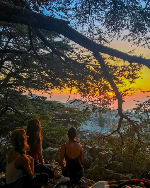 U can say it’s the best Sunset when you’re surrounded by a great company... (Arez Jaj)