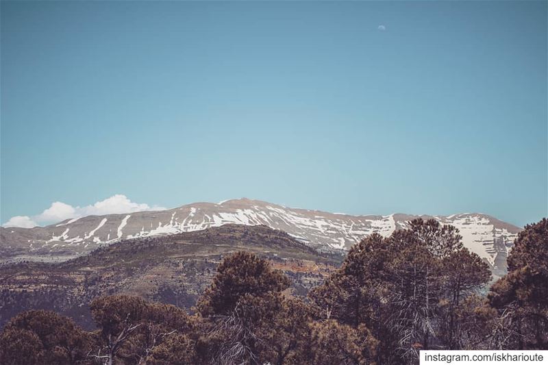 'u need mountains; long staircases dont make good hikers...' (Mount Lebanon Governorate)