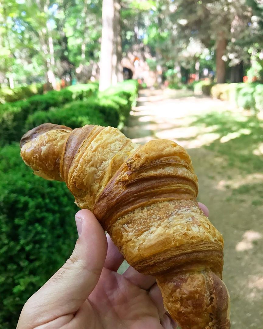 Un croissant s'il vous plait ! 🥐😋 livelovefood  livelovebeirut  beirut ... (Deïr Taanâyel, Béqaa, Lebanon)