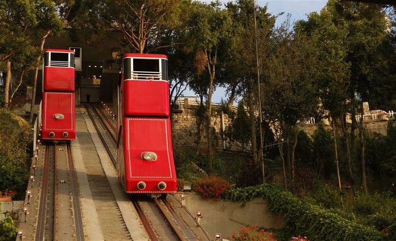 Un grand escargot avec sa maisonette... funiculaire  harisa  lebanese ... (Harisa, Mont-Liban, Lebanon)